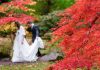 Autumn Wedding Trends for Brides