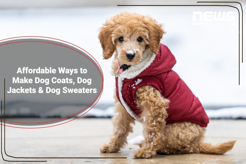 5 Affordable Ways to Make Dog Coats, Jackets & Sweaters