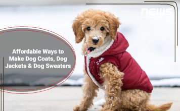 diy-dog-jacket