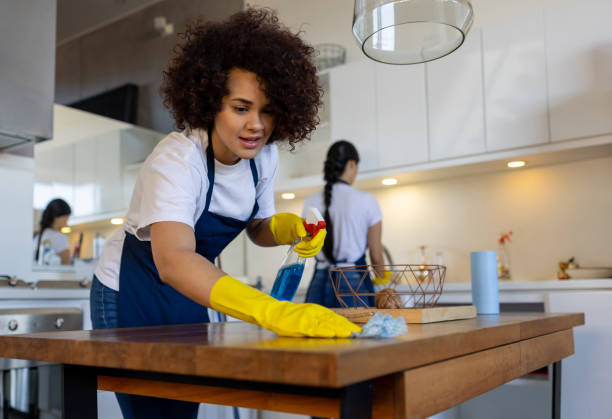 Tips-for-Maintaining-Cleanliness-Between-Professional-Cleanings