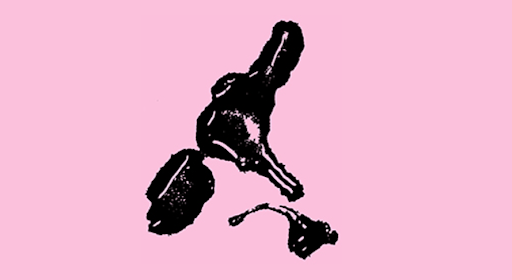 Temporary-Cruising-Zone-sex-party-organiser