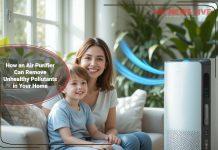 how-an-air-purifier-removes-unhealthy-pollutants-at-home