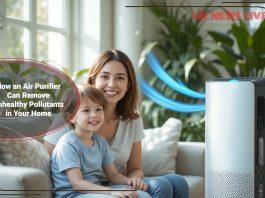 how-an-air-purifier-removes-unhealthy-pollutants-at-home