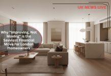 modern-renovated-london-home-interior-with-contemporary-design