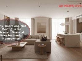 modern-renovated-london-home-interior-with-contemporary-design