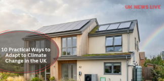 how-to-adapt-to-climate-change-in-the-uk
