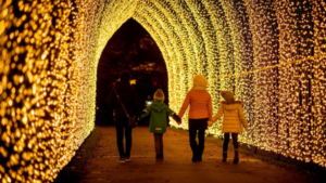 spectacular-botanical-Christmas-light-trail-inspired-by-christmas-at-ekw